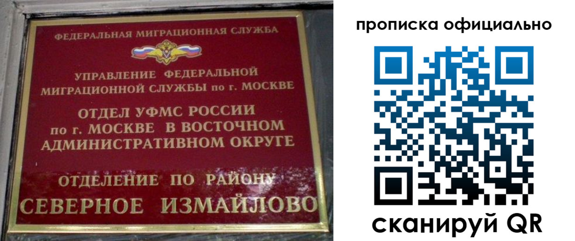 временная регистрация поиск в Новоузенске